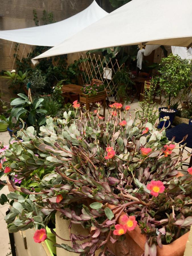 Botanica B&B Шаара Экстерьер фото