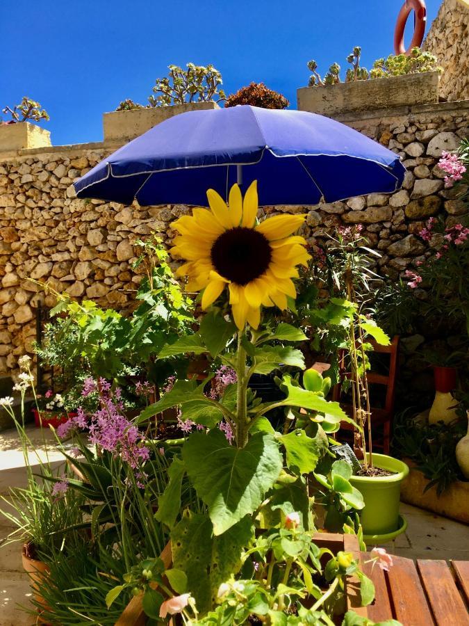 Botanica B&B Шаара Экстерьер фото