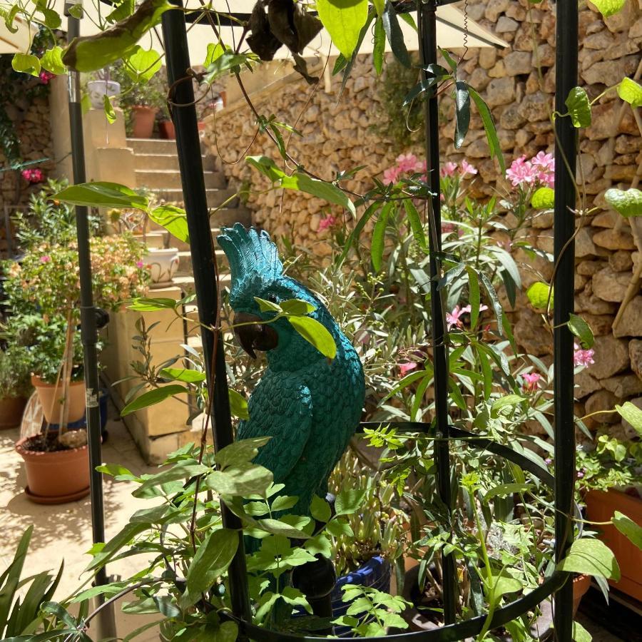Botanica B&B Шаара Экстерьер фото
