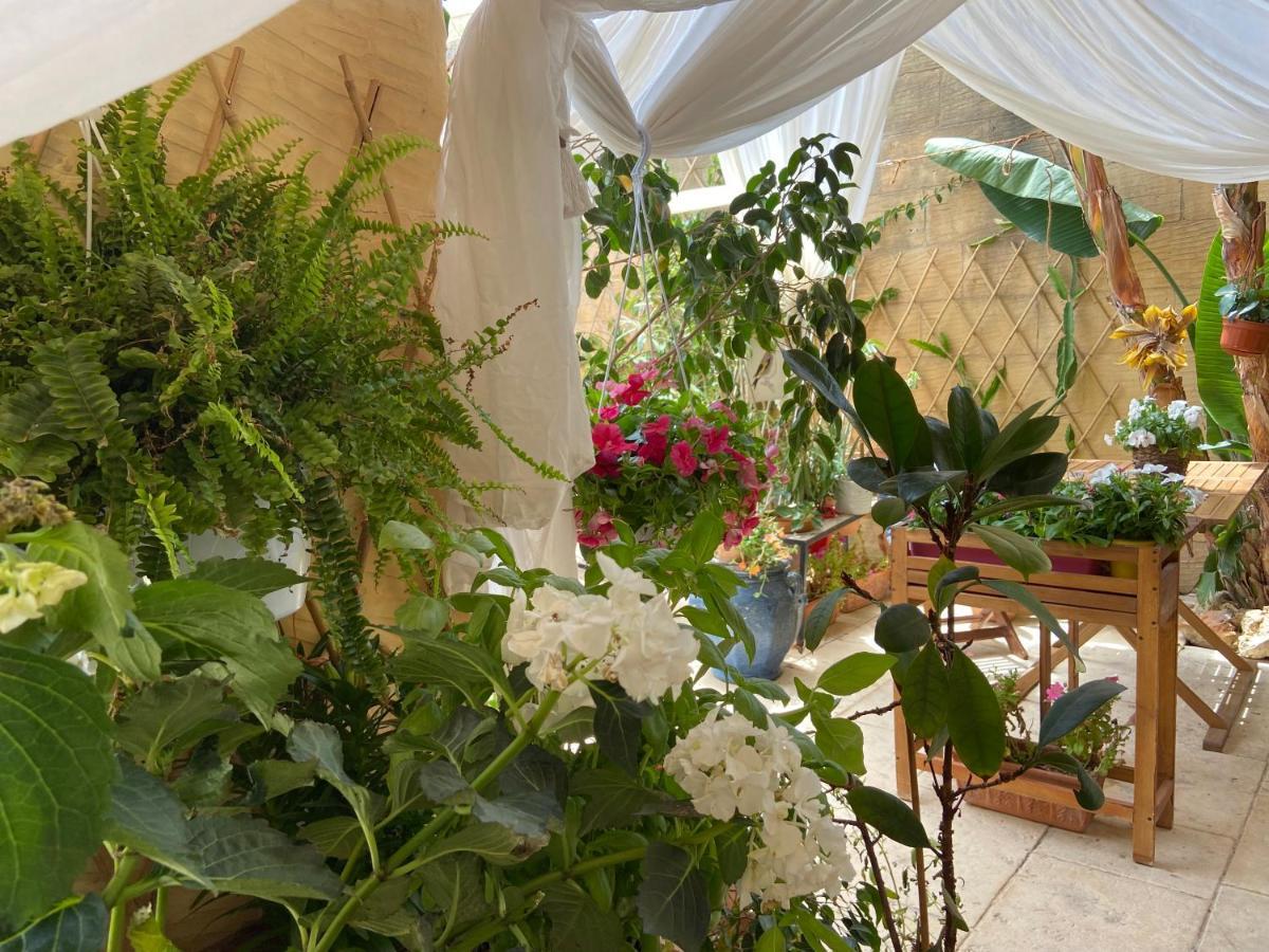 Botanica B&B Шаара Экстерьер фото